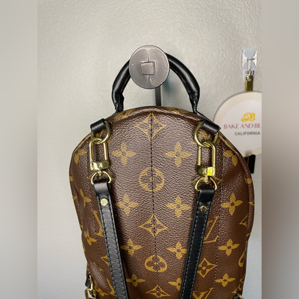 Louis Vuitton Palms Springs mini - Picture 4 of 15